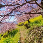 人生の長い午後