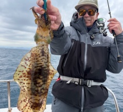 ティップラン。