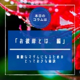 ¡Ø¢£Epi¡¥43¡¡¤ªÈà´ß¤È¤Ï¡¡Êԡ٤βèÁü