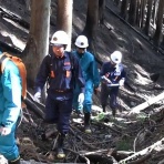 にほんのニュース