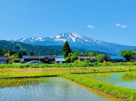 「田舎暮らし」したいけど踏み切れないやつ多いやろな
