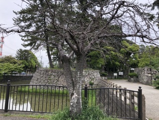 記者クラブおつ 2026年4月