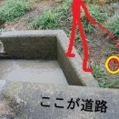 むぎちゃん飛び込み事件