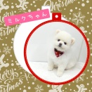 ＪＡＭにご来店♪