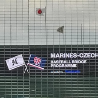 野球場へ行こう！ （野球全般）