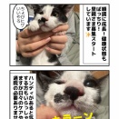 目玉飛び出し子猫 マチュ３