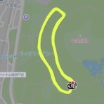 フルフルの挑戦はどこまでも