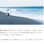 ちょっと幸せ、ずーっと幸せ