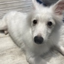 ふわふわイケメンくんデビュー✨