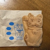 猫も杓子もネコ