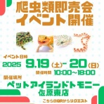 爬虫類倶楽部ファームブログ