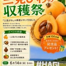 ＼びわの季節がやってきた！／6月14日（日）に、道の駅 萩・さんさん三見さまにて「三見びわの収穫祭」が開催されます