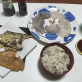 なんか魚釣れたんやが?