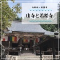 おみくじを引きたがる子供たち／娘が選ぶベスト玉こんはココだ！【山寺・若松寺】