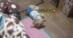 ひとりで寝れるもん。