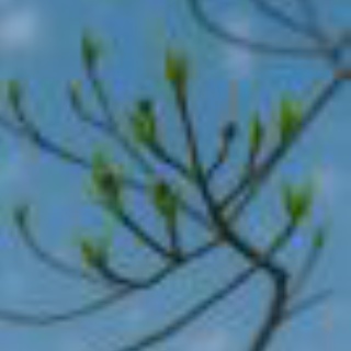 中小企業診断士 鷺山はるこのブログ「Si.Eccolo(スィ，エッコロ)」