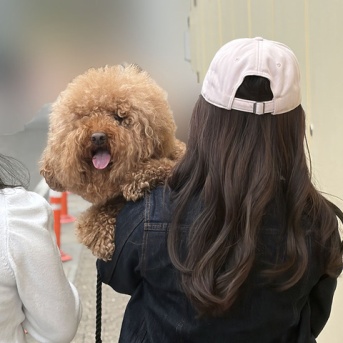 ボンちゃんのトリミングデイと、ちょっと特別な親子時間