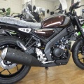 XSR125