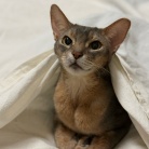 毎日、かわいいを見せつけてくるぼくちん♡