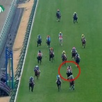 【2歳新馬】4億円馬ダノンアスコルティが衝撃のデビュー！結果は･･･