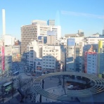 ソルティはかた、かく語りき