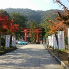 『『松尾大社から歩いて巡る紅葉の旅→月読神社→浄住寺』』の画像