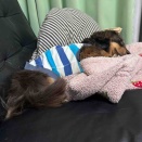 明日外来に突撃するぞ。