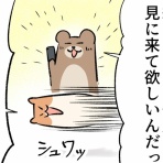 北欧せきらら暮らし - ポテまるの日常