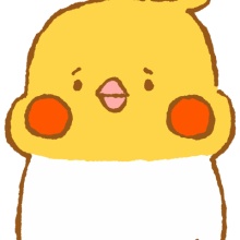Inconfuoco インコンフォーコ 小鳥まみれのイラストblog 正面