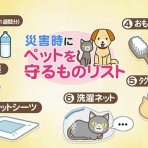 ボルゾイ暮らしトコトコ新聞2026