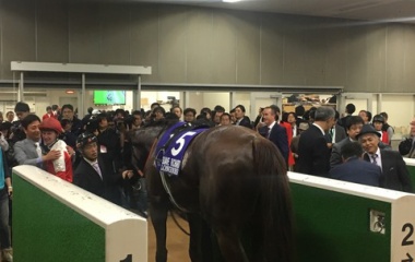 『天皇賞・秋2024　予想見解』の画像