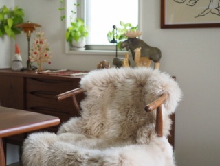 ついに今年、我が家のダイニングのもふもふ率が上がった！極上のふわふわムートンに癒される！