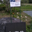 2026年4月17日「小野七重 織作品 集成展」