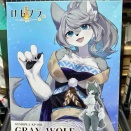 けもプラ買ってみた