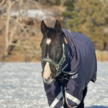 『2025年の大寒』の画像