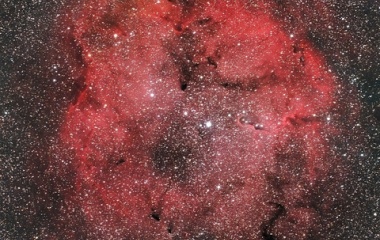 『夏の思い出！聖地で捉えたIC1396散光星雲 ☆彡』の画像