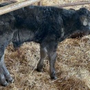 さきちゃん、あんたの息子でしょ！