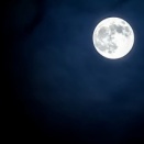 今、目に映るものはどう見えますか？