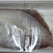 全員そろってのカメラ目線写真を撮りたい！