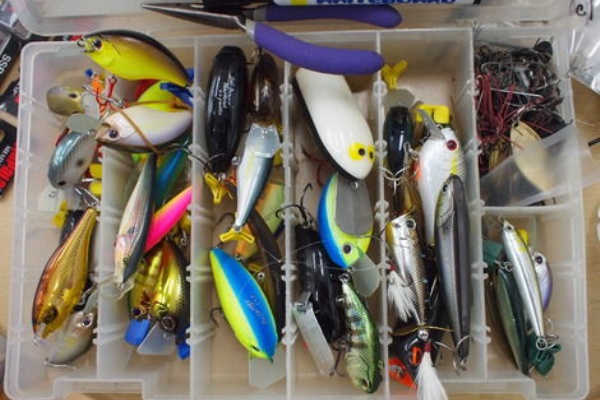 ルアーによる釣果の差なんてオカルト バス釣り2chまとめ バスまと