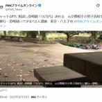 【悲報】JK「チャッピー、元カレ恐喝しようと思う。いくら恐喝すればいいと思う？」チャッピー「15万円かな」→実行して逮捕ｗｗｗｗ