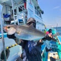 5月14日　釣果　神津島