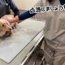 通院しました。