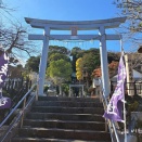 横須賀鳥居巡検(2)－走水神社の鳥居たち－