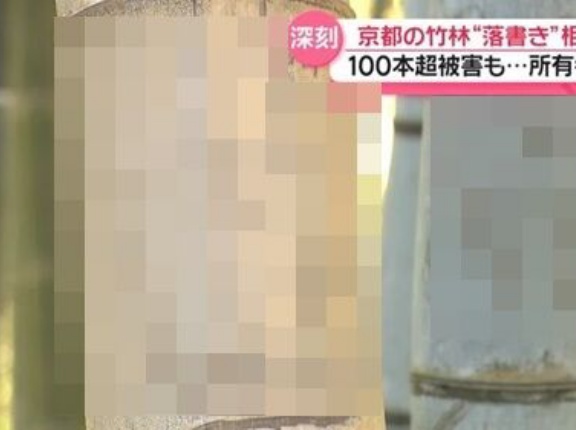 京都の竹林の落書き、とんでもないことになってしまう…犯人あの人達じゃね？