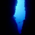 シーモンキーズの伊江島ダイビングログ