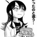 ( 五七五)  音速の  速い遅いを   競う春 。