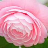 『母の差別意識』の画像