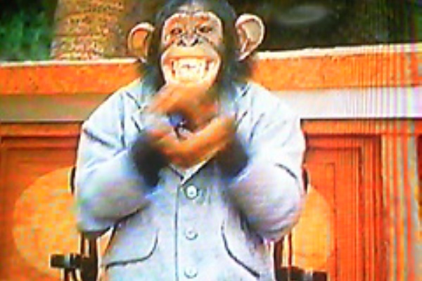 夢色日記 大泉洋