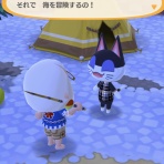 ポッケのどうぶつ